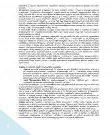 images/PROTOKOLOK/APOLASI PROTOKOLL/APOLASI PROTOKOLL_2019_vegleges_1221.jpg